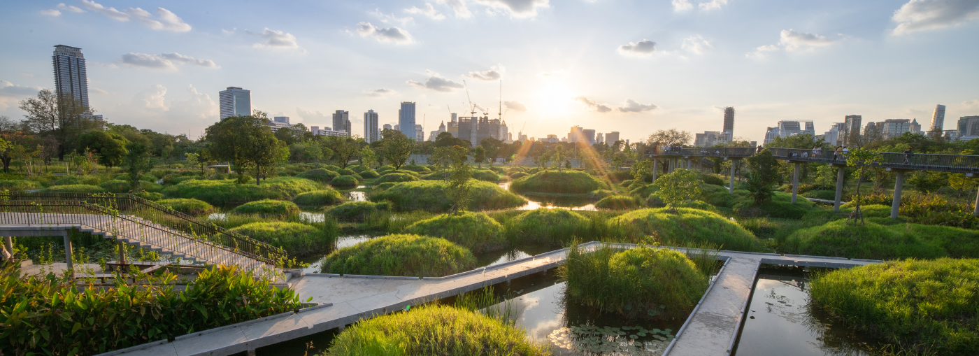 Parco urbano verde con zone umide e skyline cittadino al tramonto.