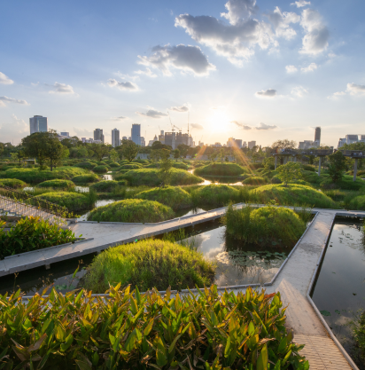 Parco urbano verde con zone umide e skyline cittadino al tramonto.